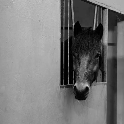 Photo #13072809