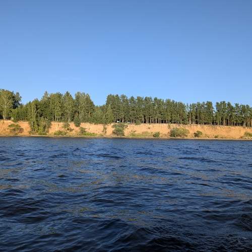Photo #13072818