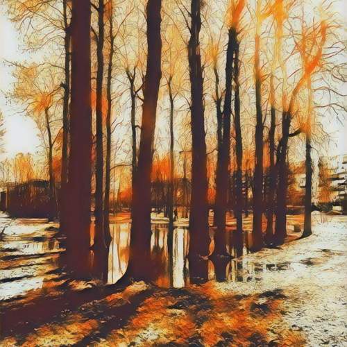 Photo #13072876