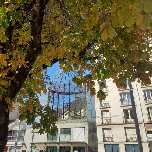 Photo #13072957