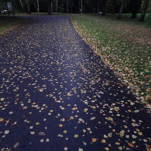 Photo #13072958