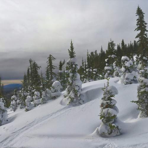 Photo #13072978