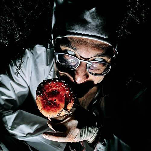 Photo #13073025