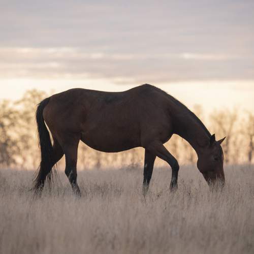 Photo #13073042