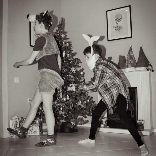 Photo #13073049