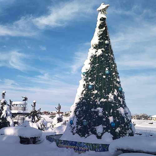 Photo #13073056