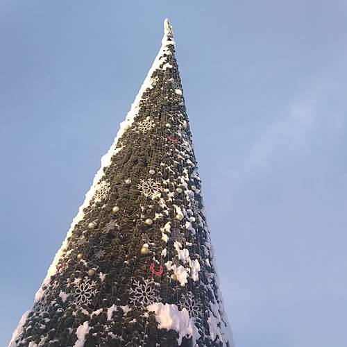 Photo #13073061