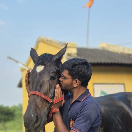 Photo #13073074