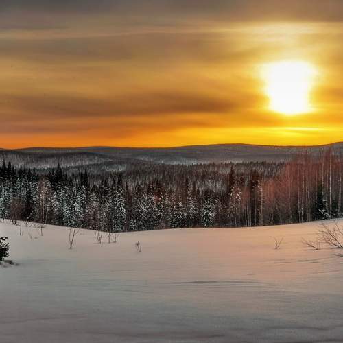 Photo #13073124