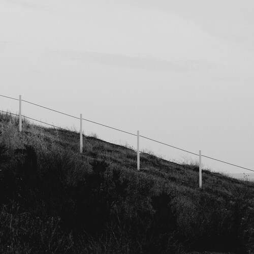 Photo #13073389