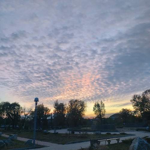 Photo #13073487