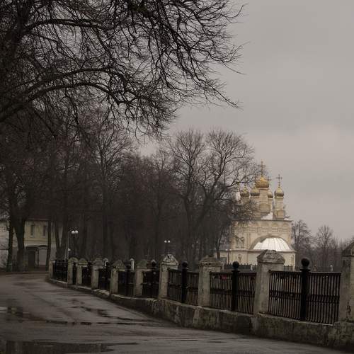 Photo #13073693