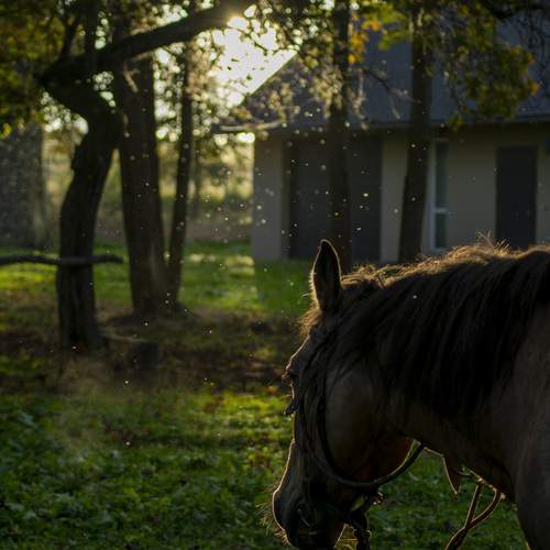 Photo #13073746