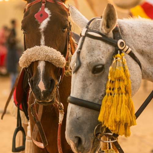 Photo #13073804