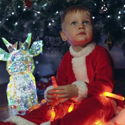 Photo #13073918