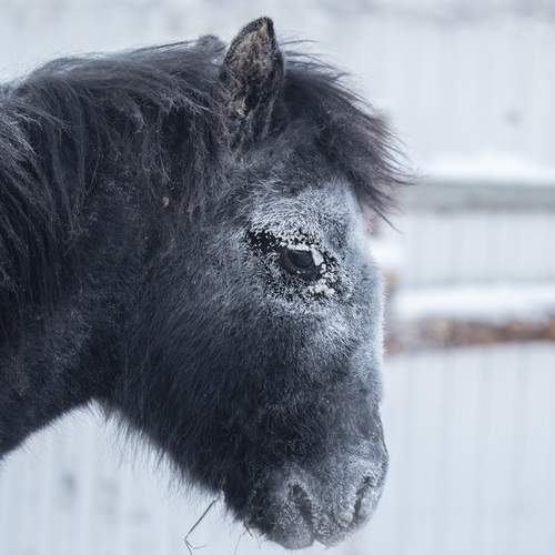 Photo #13073934