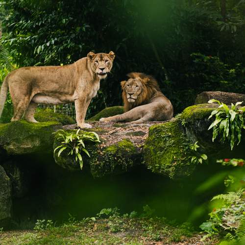 Photo #13074079