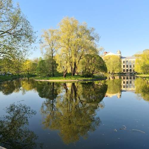Photo #13074255