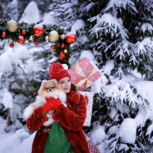 Photo #13074812