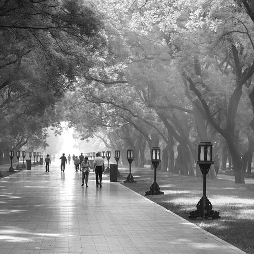 Photo #13074852