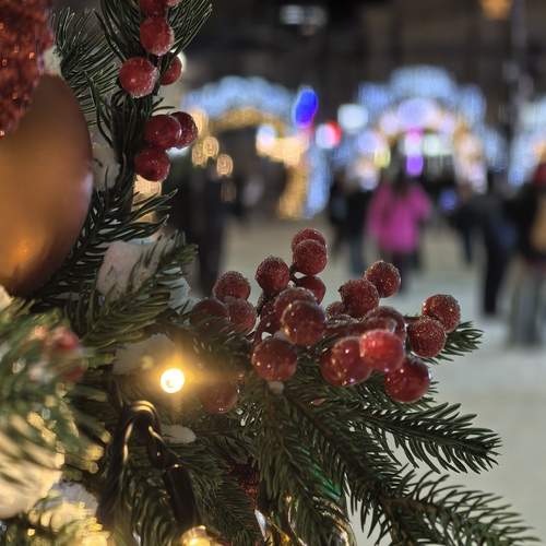 Photo #13074864