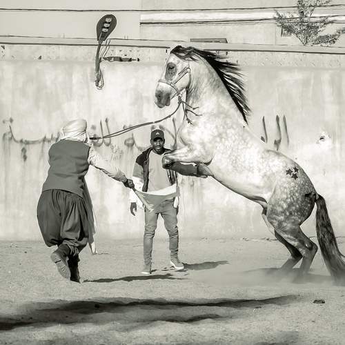 Photo #13074999