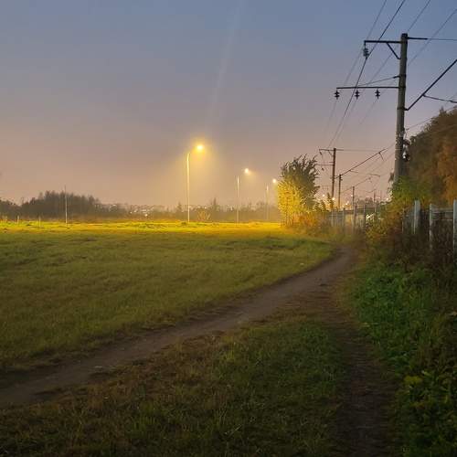 Photo #13075004