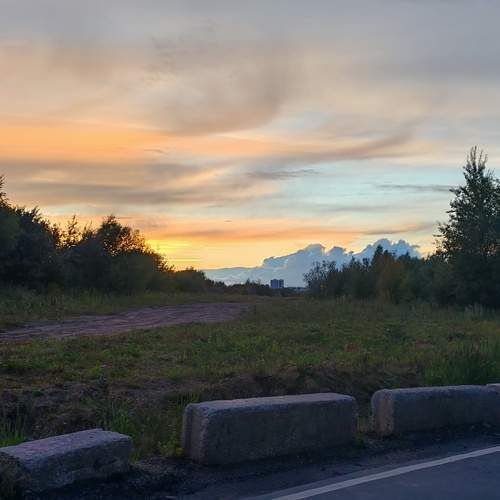 Photo #13075005