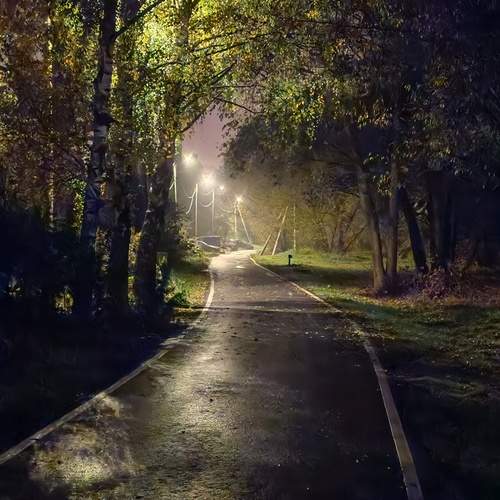 Photo #13075006