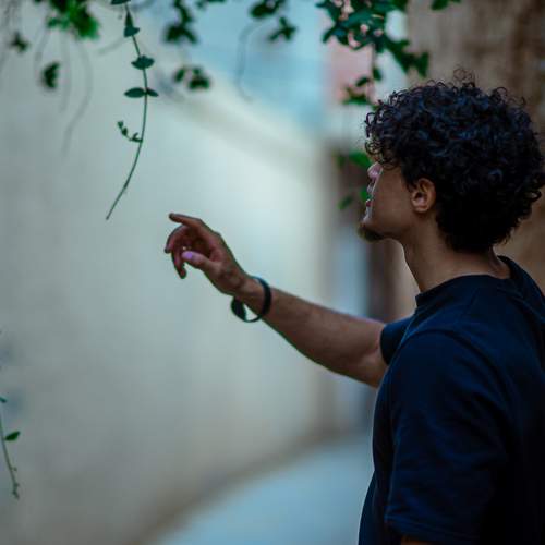 Photo #13075055