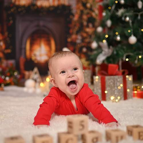 Photo #13075120