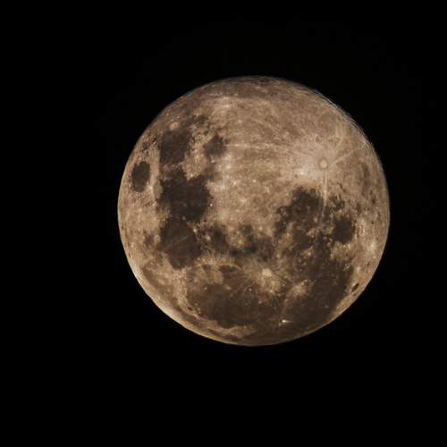 Photo #13075169