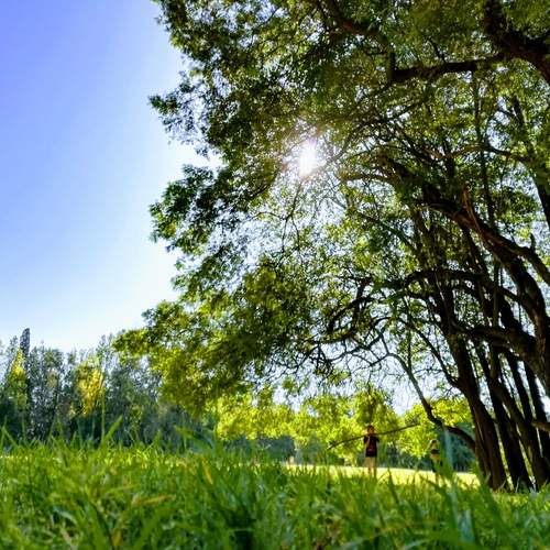 Photo #13075317
