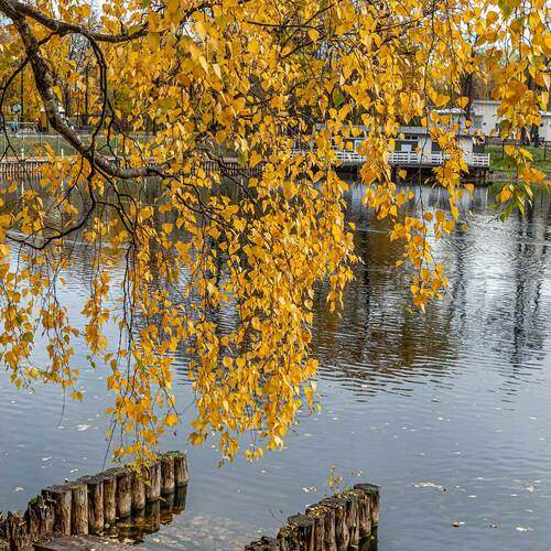 Фотография #13075357