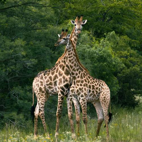 Photo #13075400