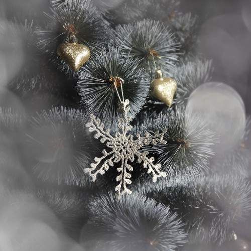 Photo #13075455