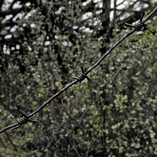 Photo #13075594