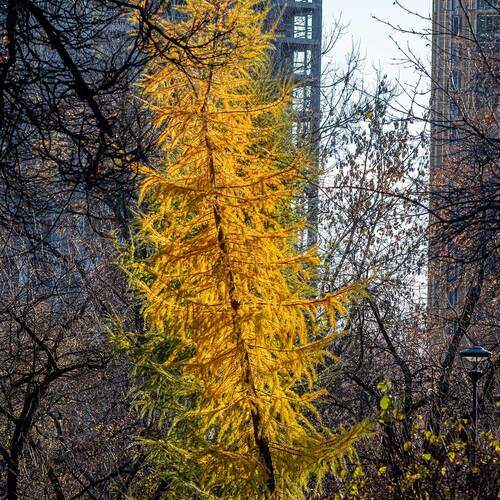 Фотография #13075614