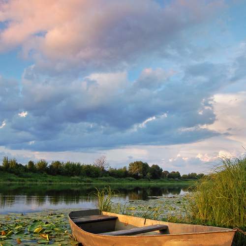 Photo #13075652