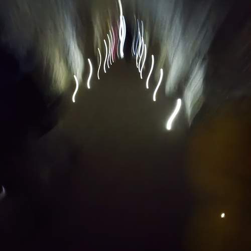 Photo #13075687
