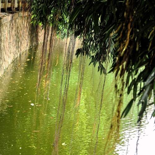 Photo #13075835