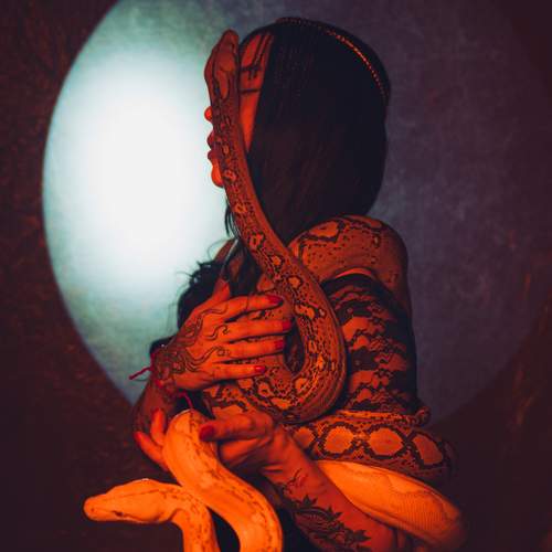 Photo #13075845