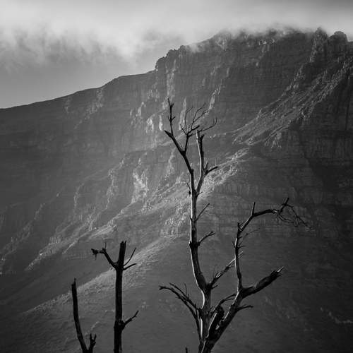 Photo #13075848