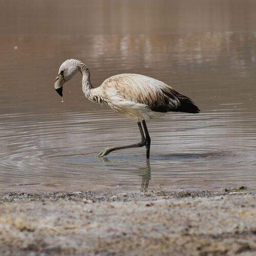 Photo #13075886