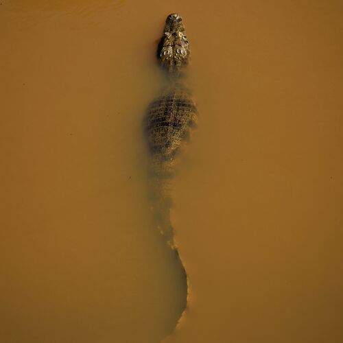 Photo #13075906