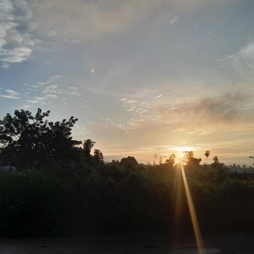 Photo #13075960