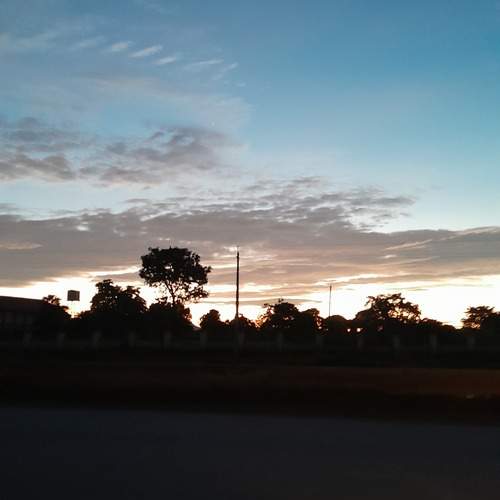 Photo #13075971