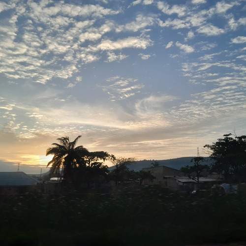 Photo #13075973
