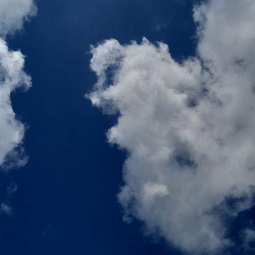 Photo #13075974