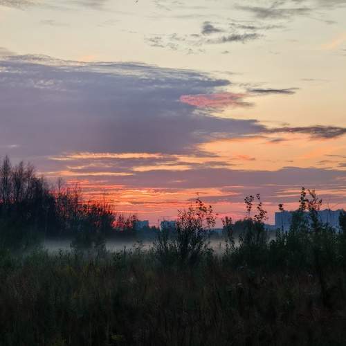 Photo #13076004